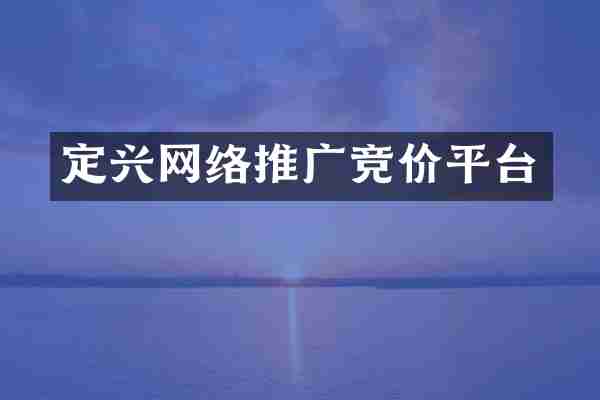 定兴网络推广竞价平台