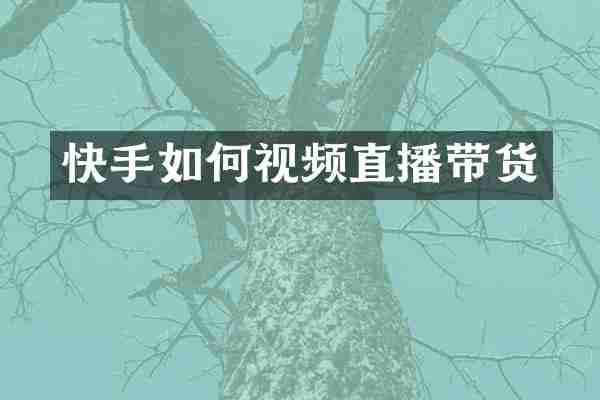 快手如何视频直播带货