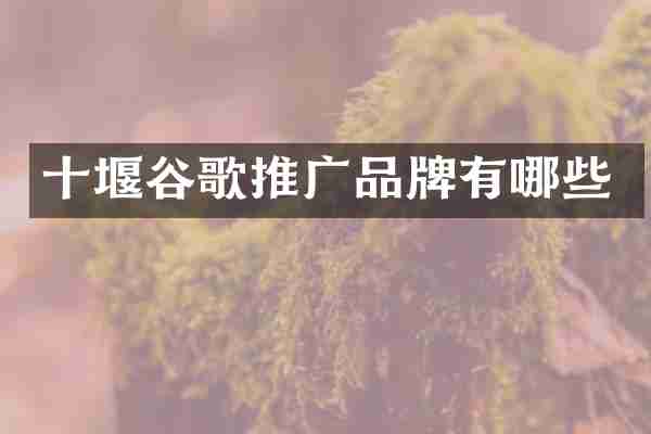 十堰谷歌推广品牌有哪些