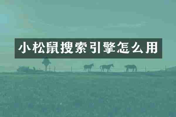 小松鼠搜索引擎怎么用