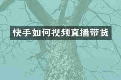 快手如何视频直播带货