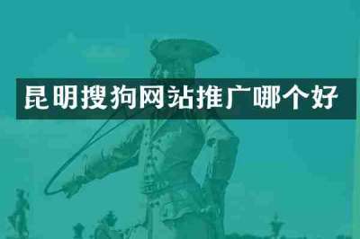 昆明搜狗网站推广哪个好