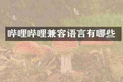 哔哩哔哩兼容语言有哪些