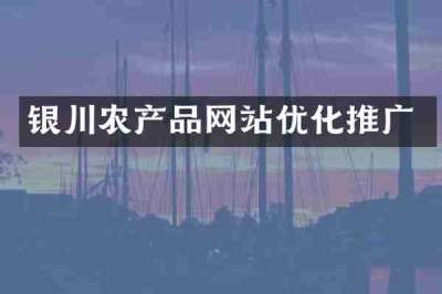 银川农产品网站优化推广