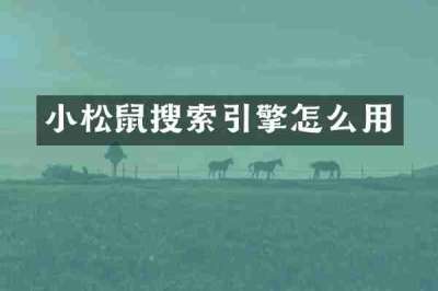 小松鼠搜索引擎怎么用