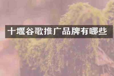 十堰谷歌推广品牌有哪些