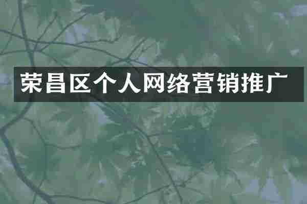 荣昌区个人网络营销推广