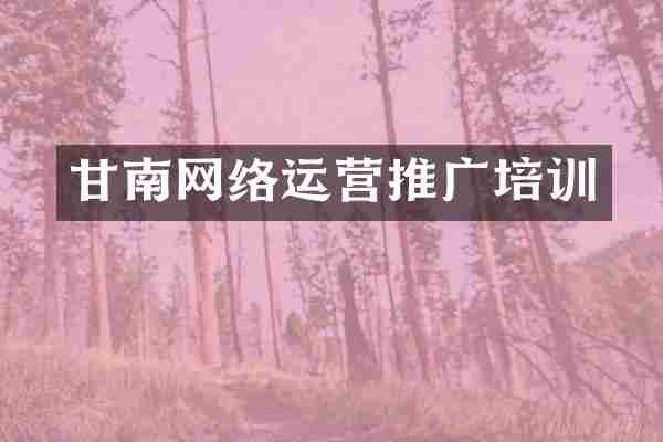 甘南网络运营推广培训