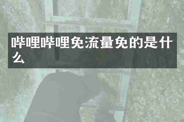 哔哩哔哩免流量免的是什么