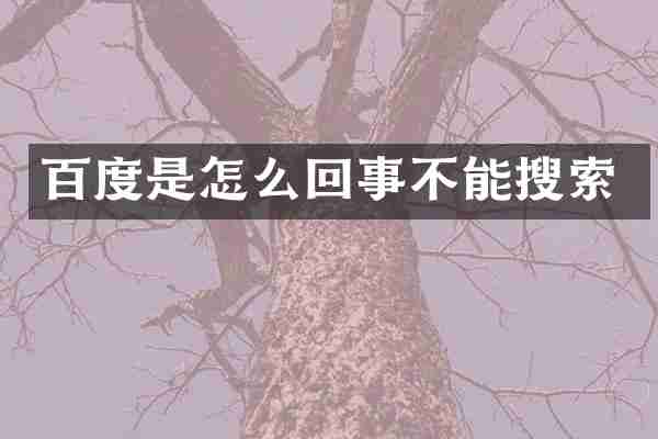 百度是怎么回事不能搜索