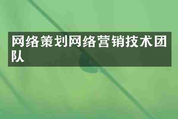 网络策划网络营销技术团队