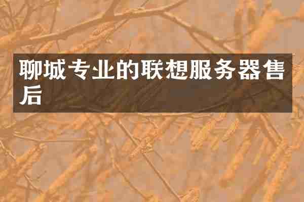 聊城专业的联想服务器售后