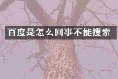 百度是怎么回事不能搜索