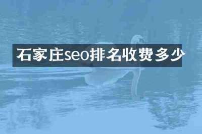 石家庄seo排名收费多少