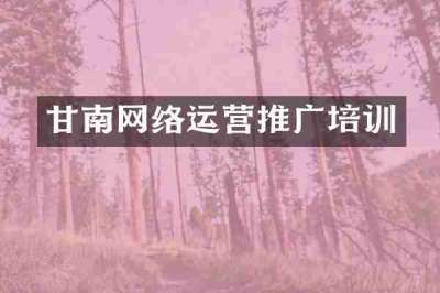 甘南网络运营推广培训