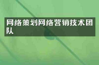 网络策划网络营销技术团队