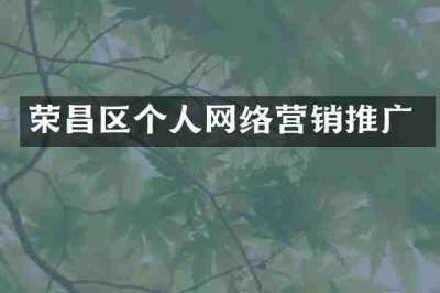 荣昌区个人网络营销推广