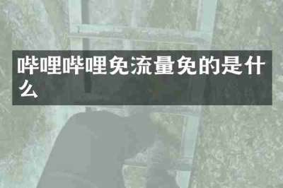 哔哩哔哩免流量免的是什么