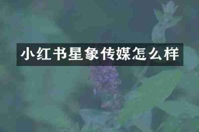 小红书星象传媒怎么样