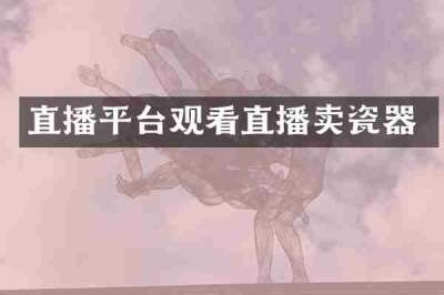 直播平台观看直播卖瓷器