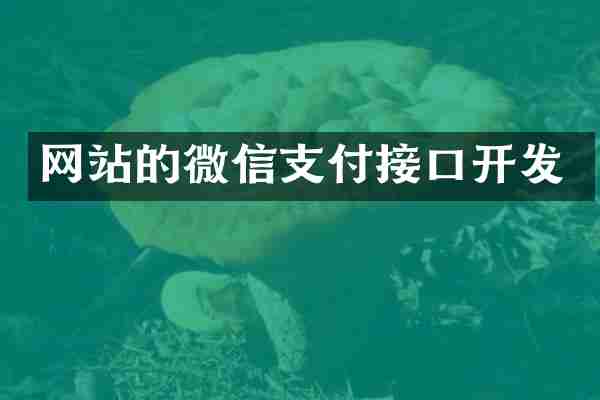 网站的微信支付接口开发