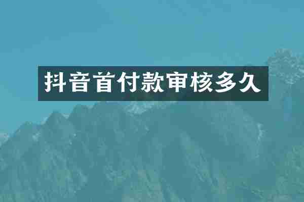 抖音首付款审核多久