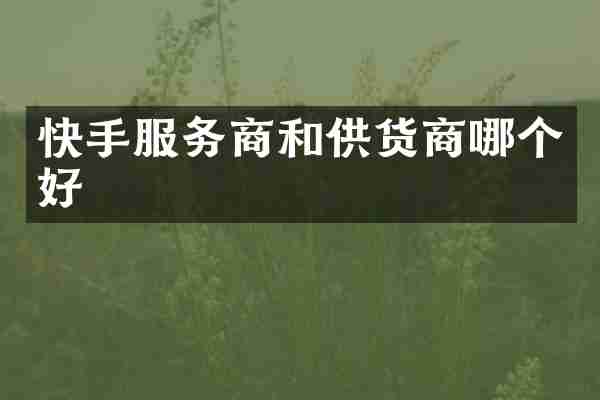 快手服务商和供货商哪个好