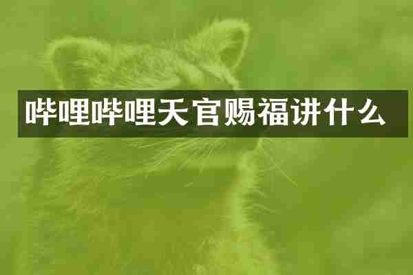 哔哩哔哩天官赐福讲什么