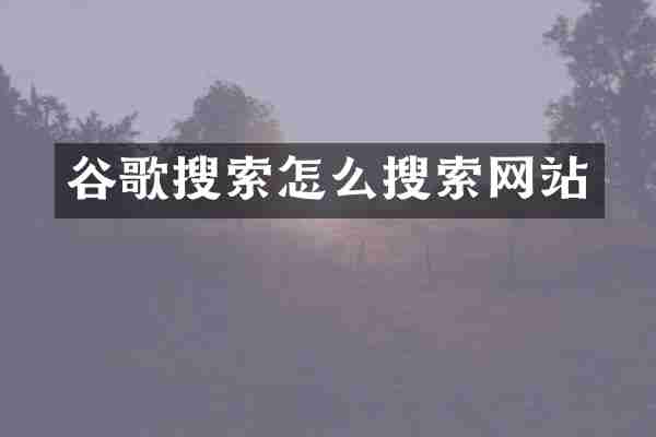 谷歌搜索怎么搜索网站