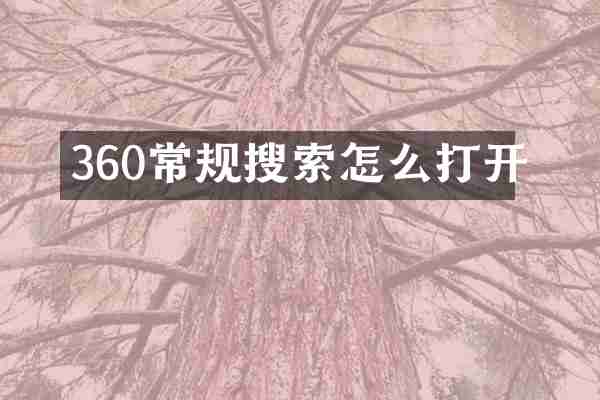 360常规搜索怎么打开