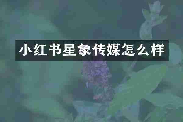 小红书星象传媒怎么样