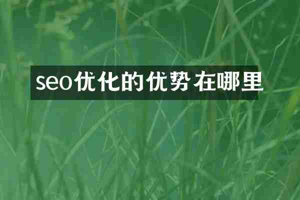 seo优化的优势在哪里