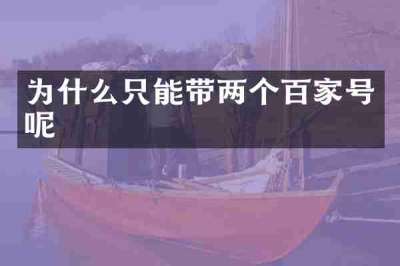 为什么只能带两个百家号呢