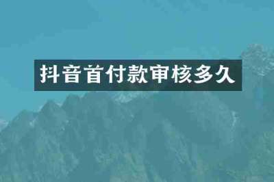 抖音首付款审核多久