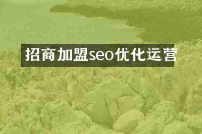招商加盟seo优化运营