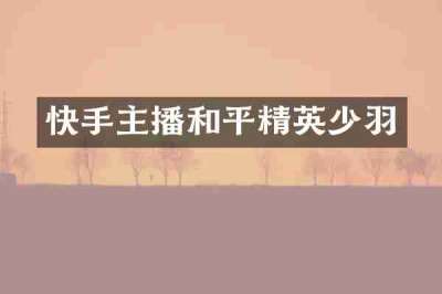 快手主播和平精英少羽