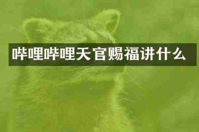 哔哩哔哩天官赐福讲什么