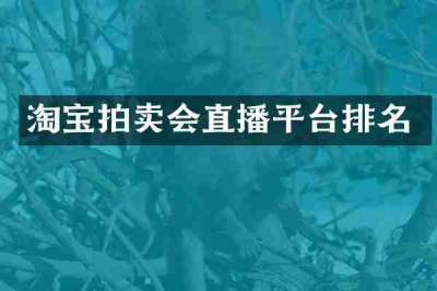 淘宝拍卖会直播平台排名