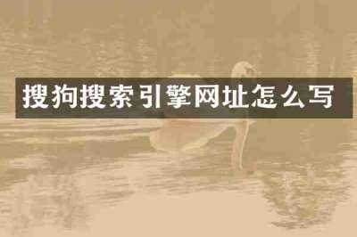 搜狗搜索引擎网址怎么写