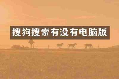 搜狗搜索有没有电脑版