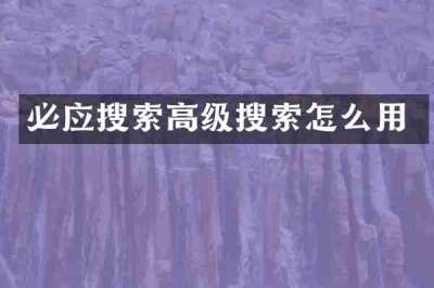 必应搜索高级搜索怎么用