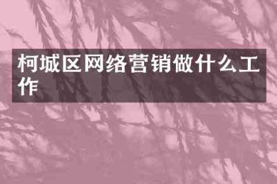 柯城区网络营销做什么工作