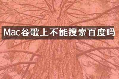 Mac谷歌上不能搜索百度吗