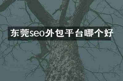 东莞seo外包平台哪个好