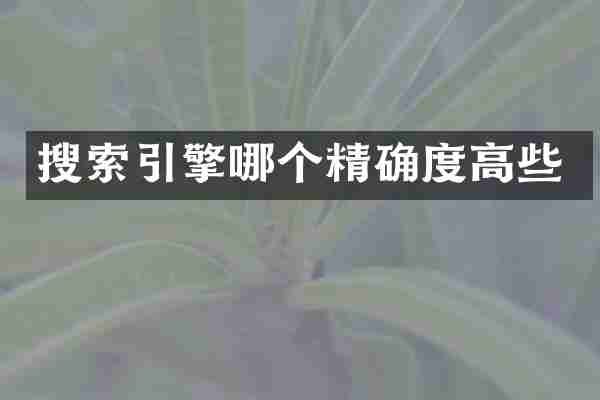 搜索引擎哪个精确度高些