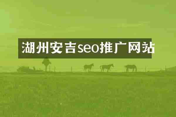 湖州安吉seo推广网站