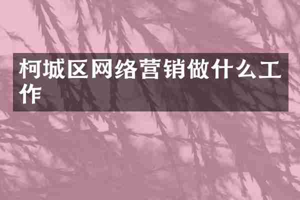柯城区网络营销做什么工作