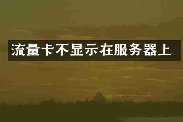 流量卡不显示在服务器上