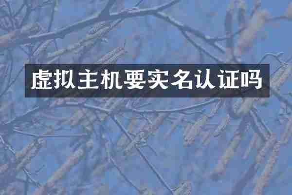 虚拟主机要实名认证吗