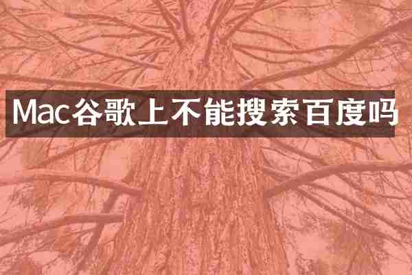 Mac谷歌上不能搜索百度吗